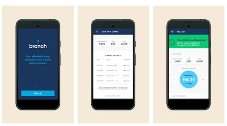 branch mobile app dashboard mock up