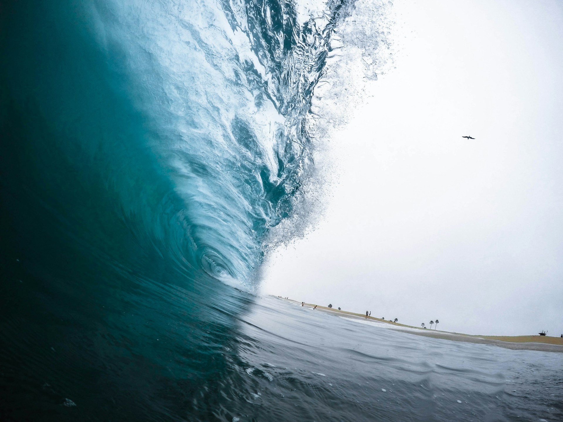 A closeup photo of a big wave. Courtesy: Jeremy Bishop via Unsplash