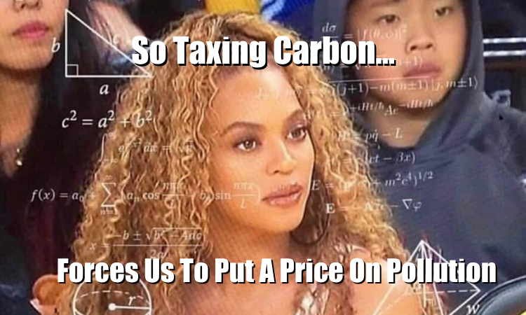 Beyonce carbon tax meme